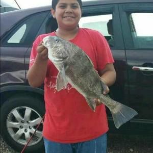 Meet your Posher, Maximiliano